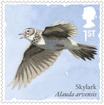 Songbirds 1st Stamp (2017) Skylark