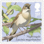 Songbirds 1st Stamp (2017) Nightingale
