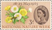 National Nature Week 3d Stamp (1963) Posy of Flowers