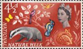National Nature Week 4.5d Stamp (1963) Woodland Life