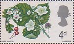 British Flora 1967