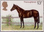 Horses 13p Stamp (1978) Thouroughbred