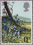 British Flowers 11p Stamp (1979) Bluebell