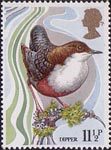 British Birds 11.5p Stamp (1980) Dipper
