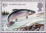 British River Fishes 1983