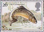 British River Fishes 26p Stamp (1983) Brown Trout