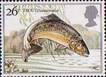 British River Fishes 1983