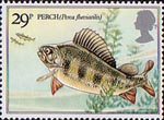 British River Fishes 1983