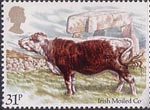 Cattle 1984