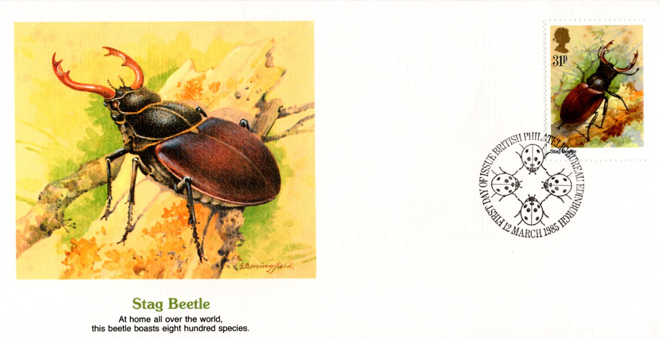 Insects Stag Beetle 1985 Stamp Postcard Royal Mail Gordon Beningfield 