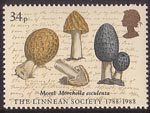 The Linnean Society 34p Stamp (1988) Morchella esculenta (James Sowerby)
