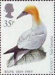 Birds 35p Stamp (1989) Northern Gannet