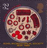 Microscopes 1989