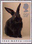 RSPCA 29p Stamp (1990) Rabbit