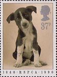 37p, Puppy from RSPCA (1990)