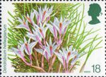 Orchids 18p Stamp (1993) Dendrobium hellwigianum