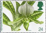 Orchids 24p Stamp (1993) Paphiopedium Maudiae 'Magnificum'