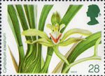 Orchids 28p Stamp (1993) Cymbidium Iowianum
