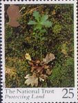 National Trust 25p Stamp (1995) Oak Seedling