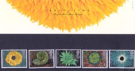 The Four Seasons. Springtime (1995)