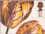 Greetings - Flowers 1st Stamp (1997) Tulipa (Ehret)