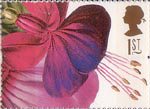 Greetings - Flowers 1st Stamp (1997) Fuschia Princess of Wales (Augusta Withers)