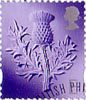 Regional Definitive - Scotland E Stamp (1999) Thistle