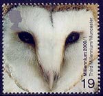 Millennium Projects (1st Series). 'Above and Beyond' 19p Stamp (2000) Barn Owl (World Owl Trust, Muncaster)