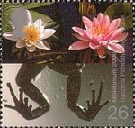 Millennium Projects (3rd Series). 'Water and Coast' 26p Stamp (2000) Frog's Legs and Water Lilies (National Pondlife Centre, Merseyside)