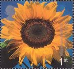 Millennium Projects (8th Series). 'Tree and Leaf' 1st Stamp (2000) Sunflower ('Eden Project, St. Austell)