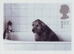 Cats and Dogs 1st Stamp (2001) Dog in Bath