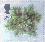 2nd, Blue Spruce Star from Christmas 2002 (2002)