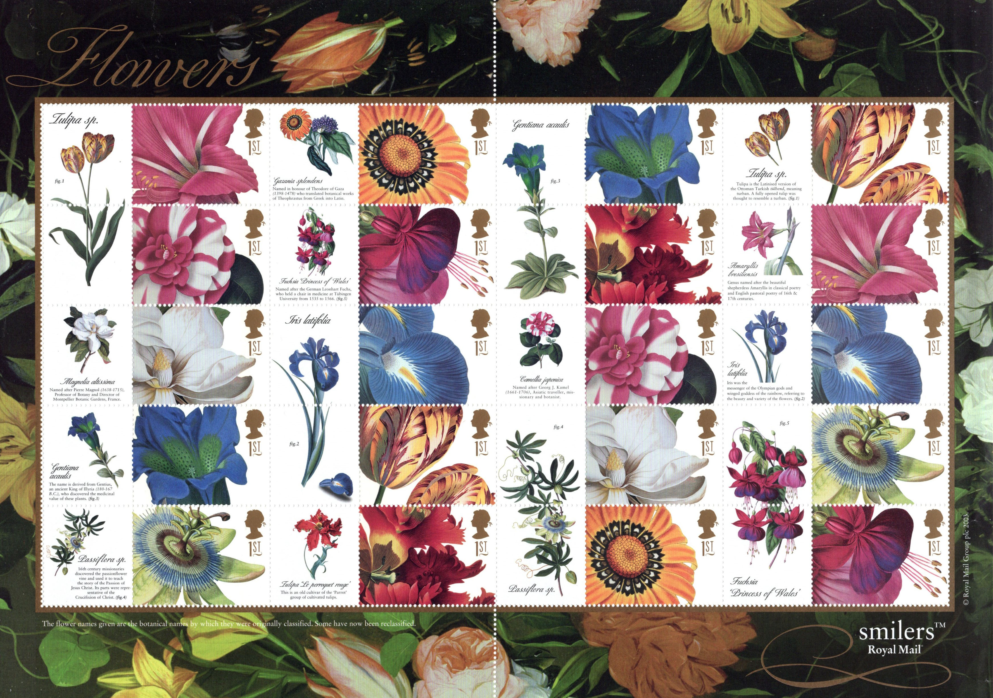 Gb collection. Цветы 2003 - Звёздная коллекция. Коллекция Kc книга. Flowers collection in one Sheet.