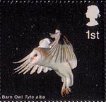 Birds of Prey 1st Stamp (2003) Barn Owl with folded Wings and Legs down