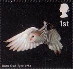 Birds of Prey 1st Stamp (2003) Barn Owl in Flight with Wings lowered