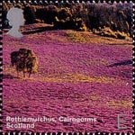 Scotland. A British Journey  E Stamp (2003) Rothiemurchus, Cairngorms