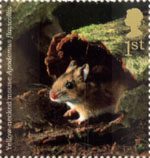 Woodland Animals 1st Stamp (2004) Yellow-necked Mouse