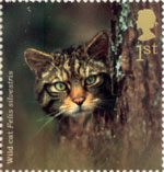 Woodland Animals 1st Stamp (2004) Wild Cat