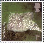 Sea Life 1st Stamp (2007) Thornback Ray