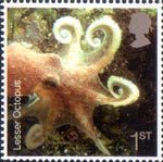 Sea Life 1st Stamp (2007) Octopus