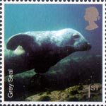 Sea Life 1st Stamp (2007) Grey Seal