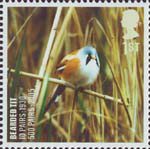 Birds 1st Stamp (2007) Bearded Tit