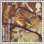 Birds 1st Stamp (2007) Cirl Bunting