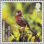 Birds 1st Stamp (2007) Dartford Warbler