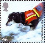 Working Dogs 46p Stamp (2008) Mountain Rescue Dog