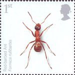 Insects 1st Stamp (2008) Red Barbed Ant