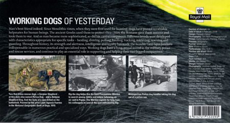 Reverse for Working Dogs