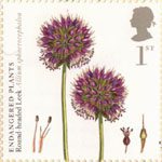 Plants 1st Stamp (2009) Round-Headed Leek