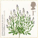 Plants 1st Stamp (2009) Dwarf Milkwort
