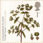 Plants 1st Stamp (2009) Upright Spurge